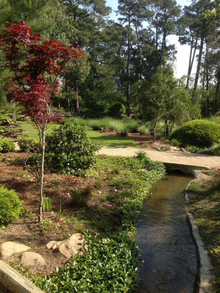 Japanese Garden in Hermann Park 