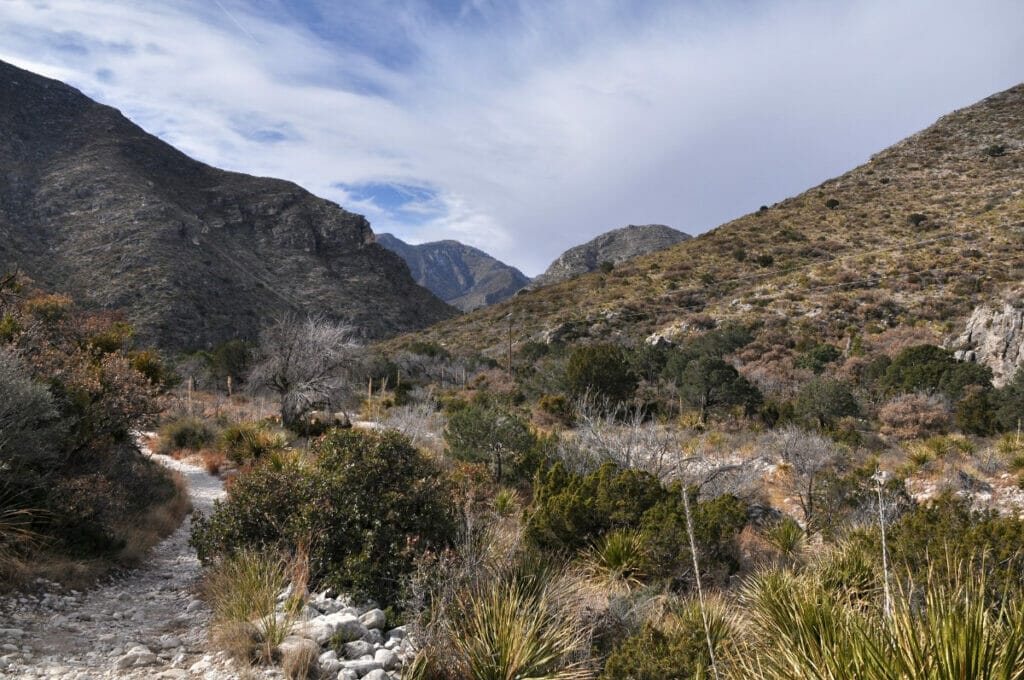 McKittrick Canyon Trail 