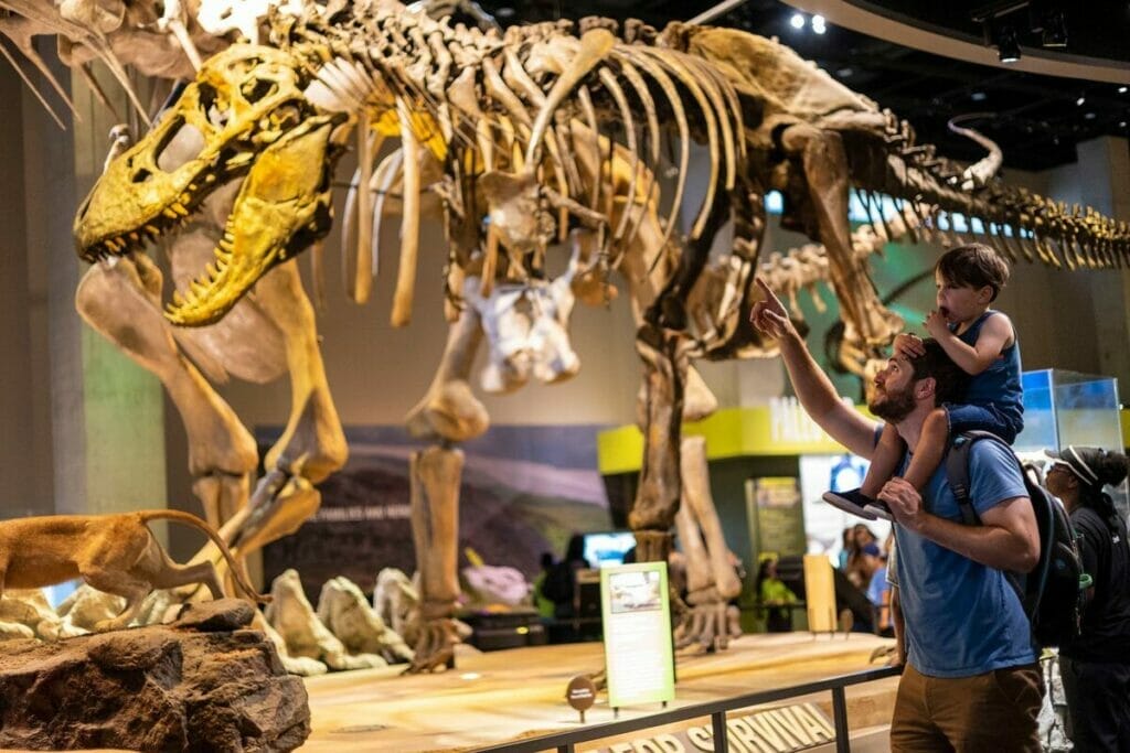 Perot Museum