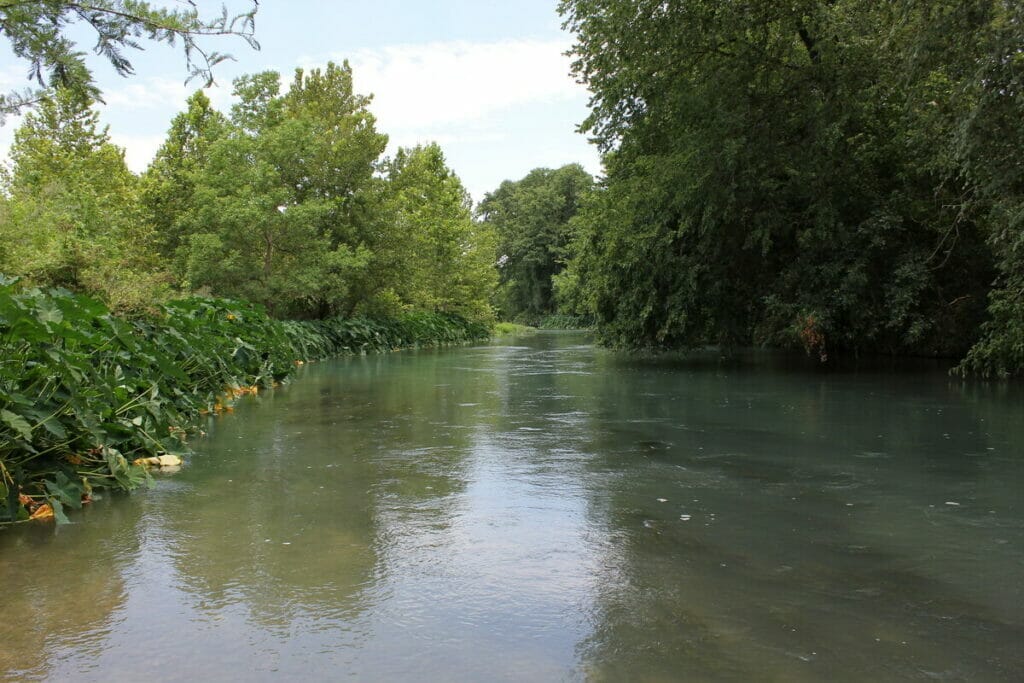 San Marcos River