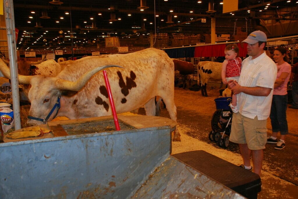 Houston Livestock Show 