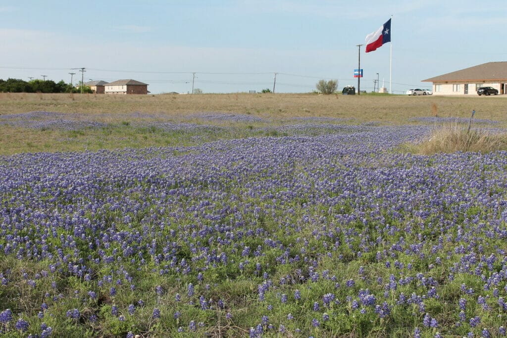 Killeen