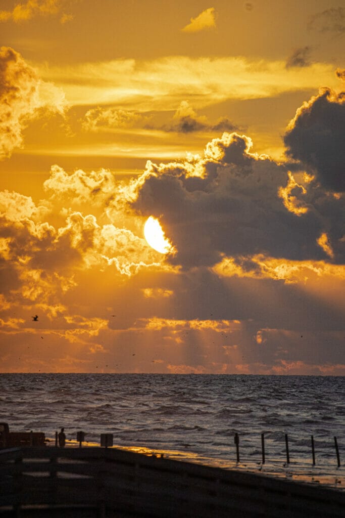 day boat trips in galveston tx