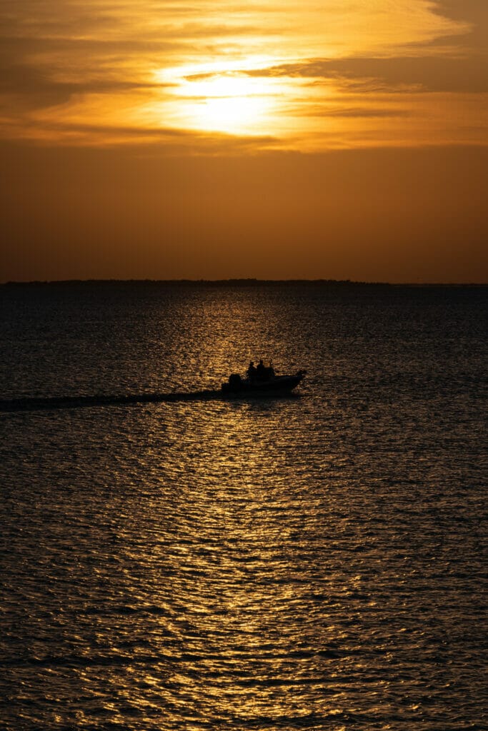 day boat trips in galveston tx