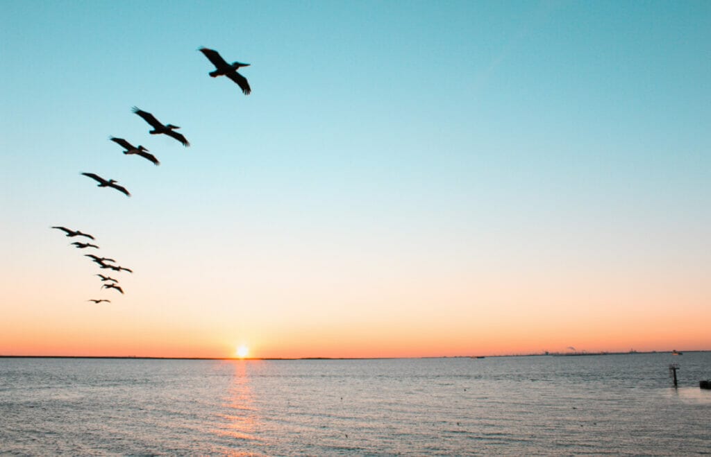 galveston historic walking tour