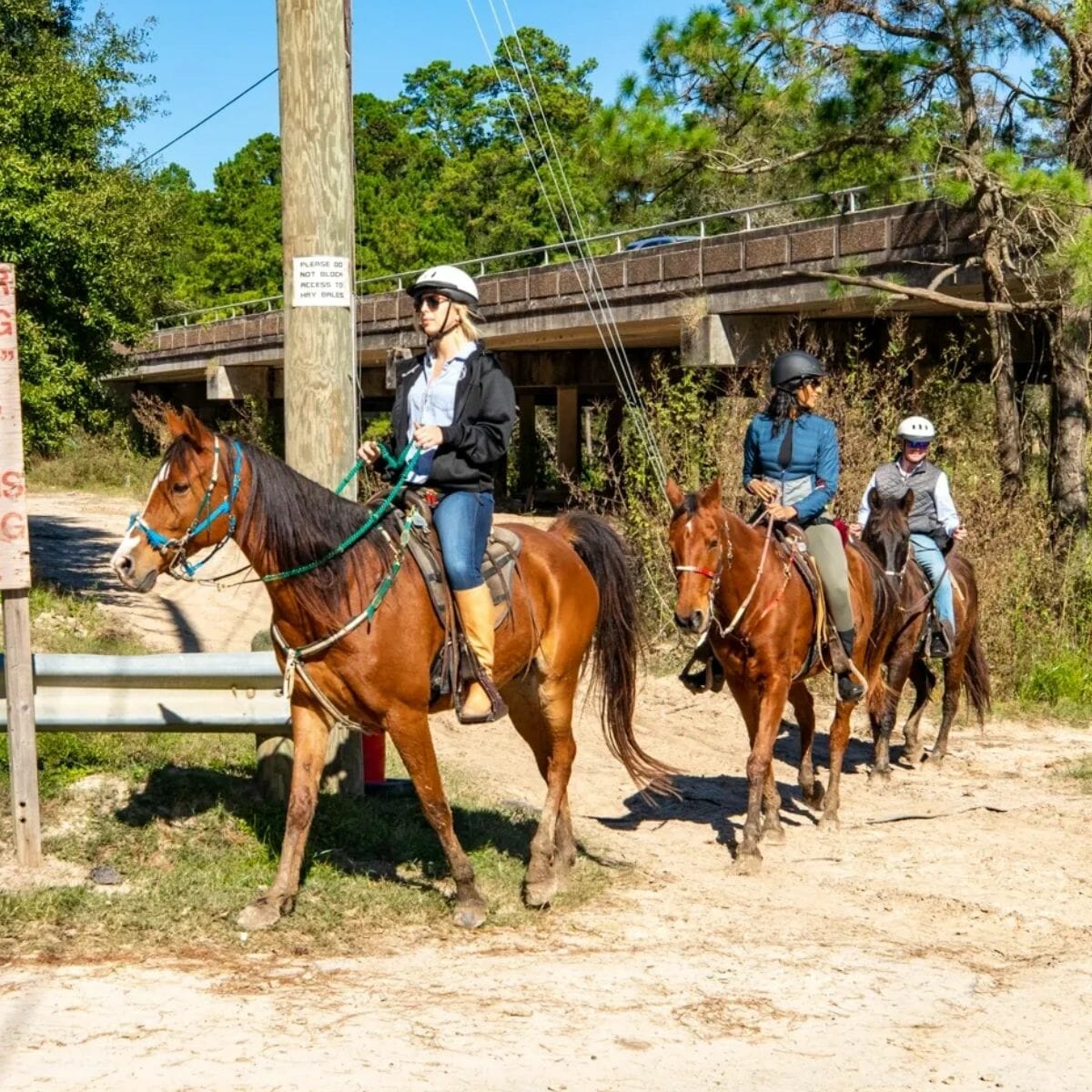 21 Best Places to Go Horseback Riding in Texas (2023) Happy To Be Texas