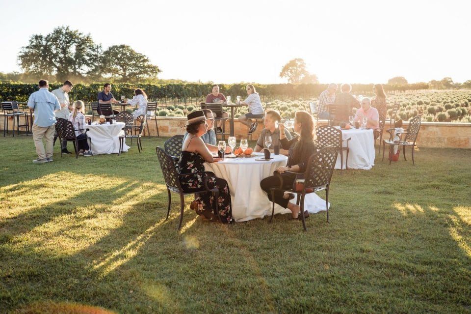 17 Best Things to Do in Texas in November (2023) Happy To Be Texas