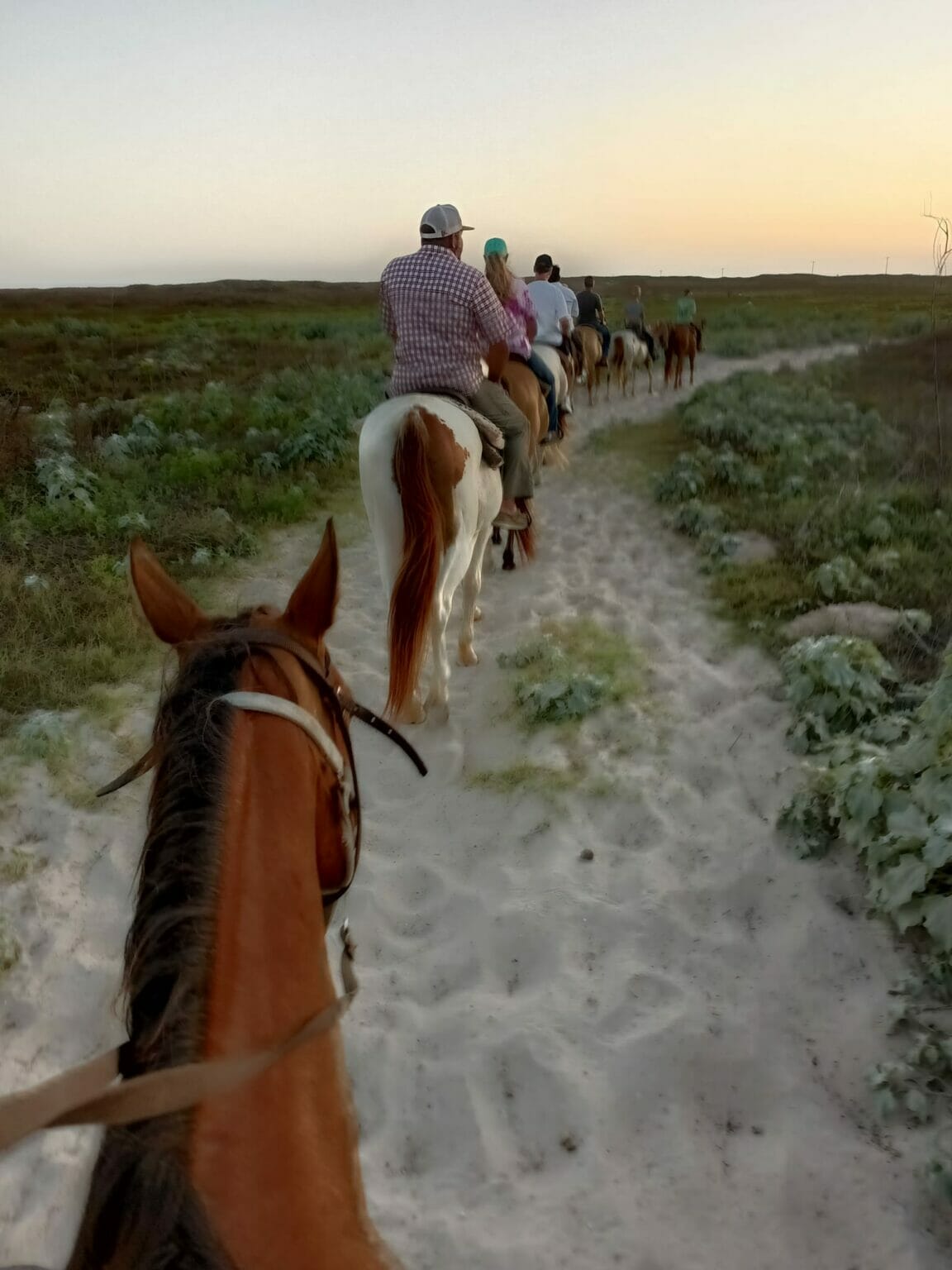21 Best Places to Go Horseback Riding in Texas (2023) Happy To Be Texas