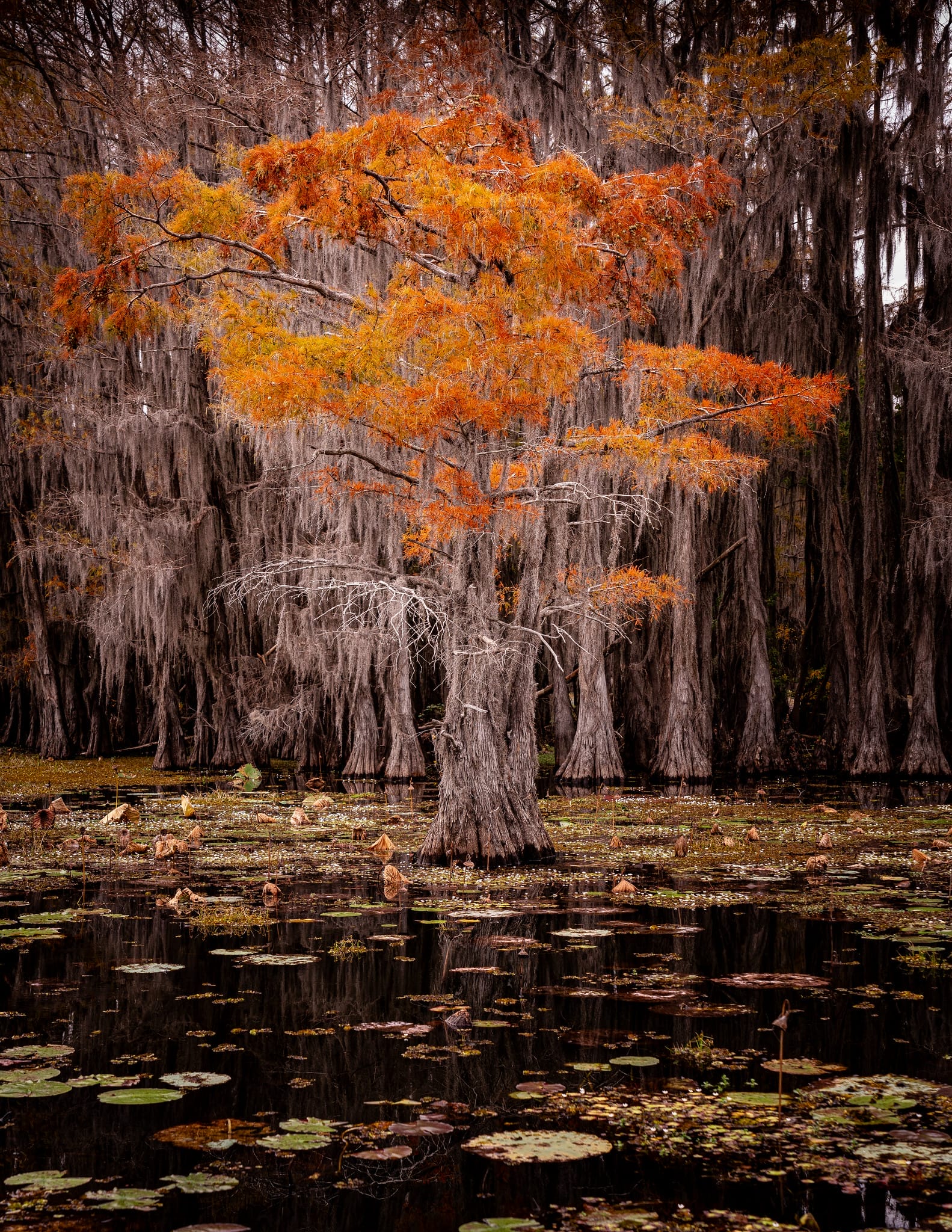 17 Must-See Texas Nature Destinations (2024) - Happy To Be Texas