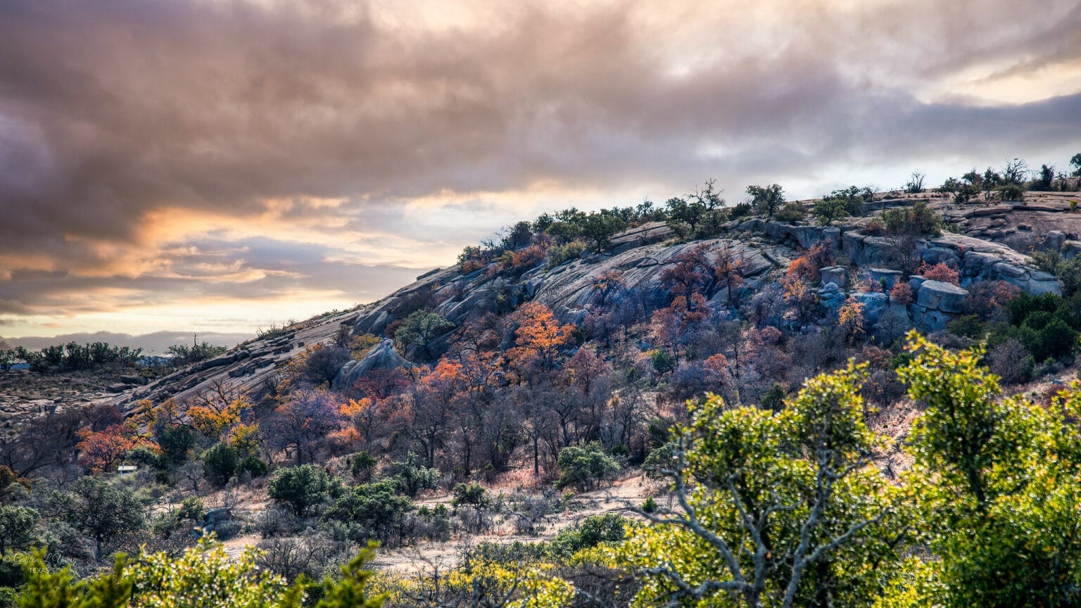 17 Must-See Texas Nature Destinations (2024) - Happy To Be Texas