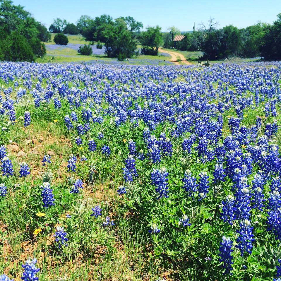 spring break trip ideas in texas